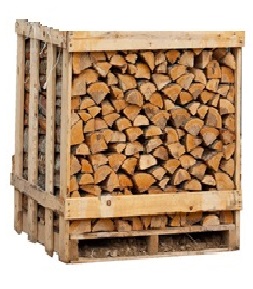 طبلية حطب البتولا الأوربي