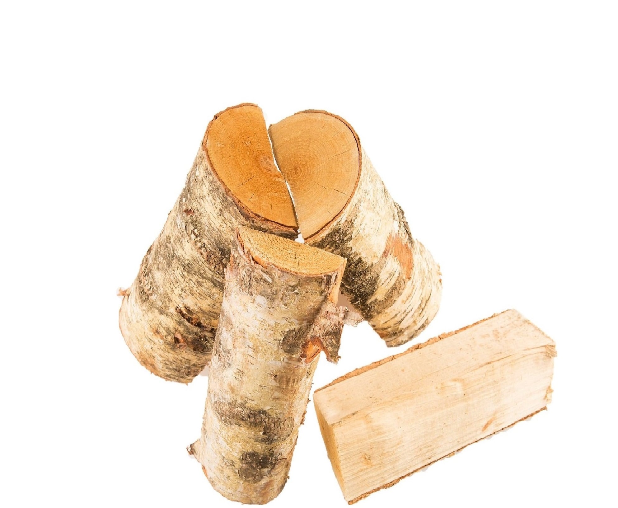 طبلية حطب البتولا الأوربي